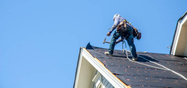 Best Roof Gutter Cleaning  in Central City, NE